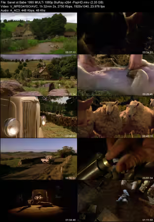 Babe 1995 MULTi 1080p BluRay x264-PopHD