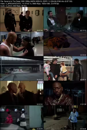 In Too Deep 1999 1080p AMZN WEB-DL DDP 5.1 H264-BLOOM