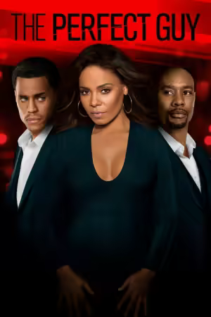 The Perfect Guy 2015 1080p AMZN WEB-DL DDP5 1 H 264-HDSWEB