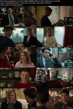 Appetite for Love 2016 1080p WEBRip DDP 2.0 10bit H265-iVy