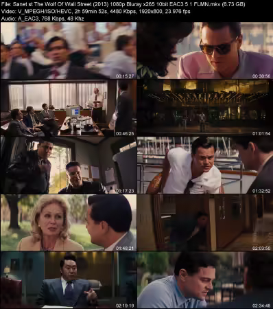The Wolf Of Wall Street 2013 1080p Bluray x265 10bit EAC3 5.1 FLMN