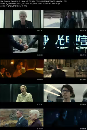 Skyfall 2012 1080p NF WEB-DL DDP 5.1 H264-HDSWEB
