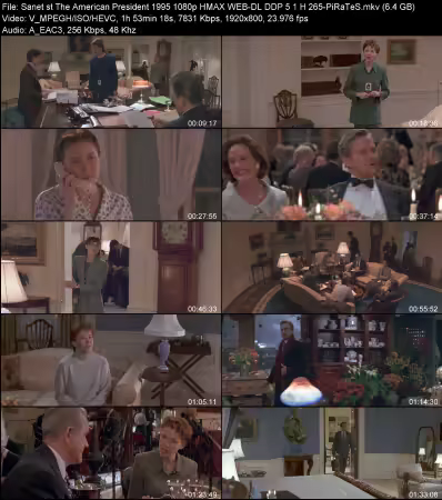 The American President 1995 1080p HMAX WEB-DL DDP 5.1 H265-PiRaTeS