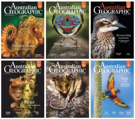 Australian Geographic - Full Year 2025 Collection