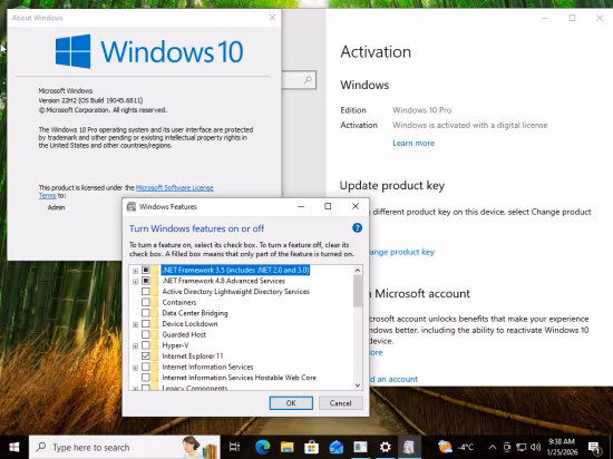 Windows 10 Pro 22H2 build 19045.6812 Preactivated Multilingual January 2026