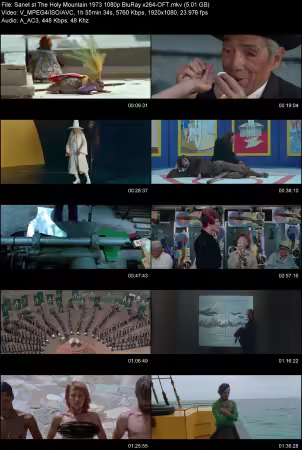 The Holy Mountain 1973 1080p BluRay x264-OFT