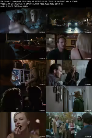 Young Adult 2011 1080p NF WEB-DL DUAL DDP 5.1 H264-TURG