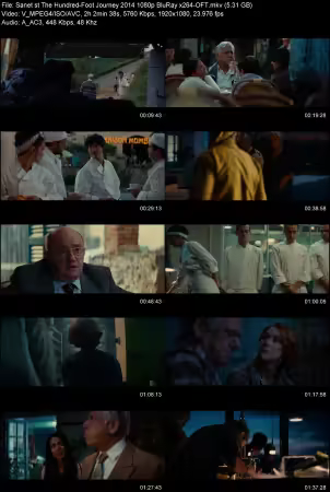 The Hundred-Foot Journey 2014 1080p BluRay x264-OFT