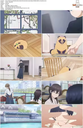 With You and the Rain S01 1080p CR WEB-DL DDP2.0 H264-Kitsune