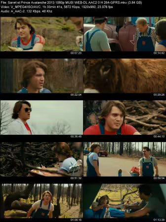 Prince Avalanche 2013 1080p MUBI WEB-DL AAC 2.0 H264-GPRS