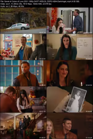 Colors of Love 2021 1080p SKST WEB-DL DDP2 H264-DarkAngeL