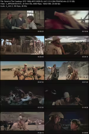 The Cowboys 1972 1080p MY5 WEB-DL AAC 2.0 H264-PiRaTeS
