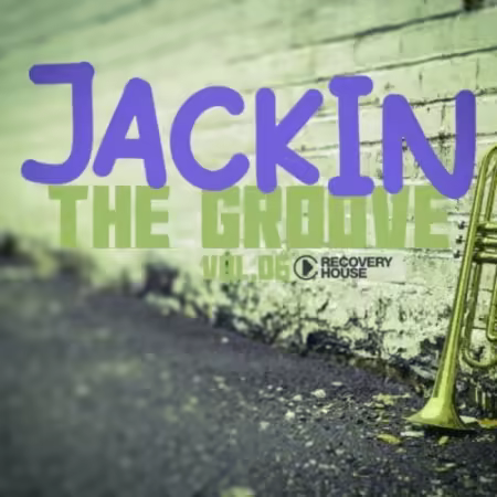 VA - Jack in the Groove, Vol.06 (2026)