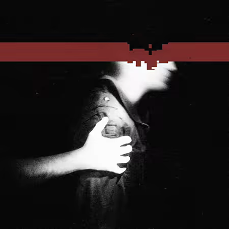 Nine Inch Nails – The Slip (Remastered) (2008/2025) (Hi-Res) FLAC/MP3