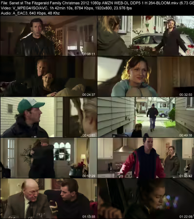 The Fitzgerald Family Christmas 2012 1080p AMZN WEB-DL DDP 5.1 H264-BLOOM