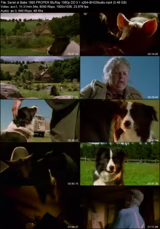 Babe 1995 PROPER BluRay 1080p DD 5.1 x264-BHDStudio