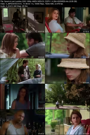 Lost Junction 2003 1080p AMZN WEB-DL DDP 5.1 H264-HDSWEB