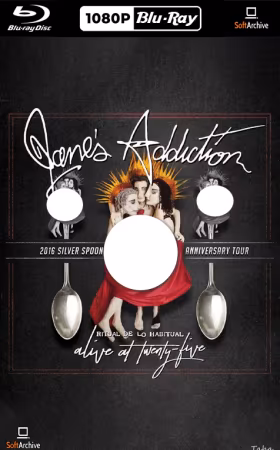 Janes Addiction Ritual De Lo Habitual Alive at Twenty Five 2017 1080p BDRip DTS H264-PoPCoRn