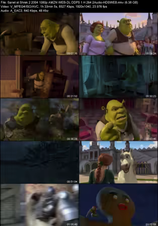 Shrek 2 2004 1080p AMZN WEB-DL DDP 5.1 H264 2Audio-HDSWEB