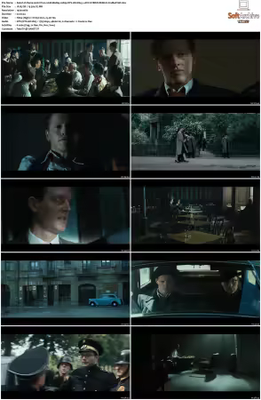 Flame and Citron 2008 BluRay 1080p DTS-HD MA 5.1 AVC HYBRID REMUX-FraMeSToR