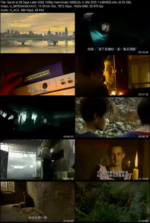 28 Days Later 2002 1080p HamiVideo WEB-DL H264 DD 5.1-UBWEB