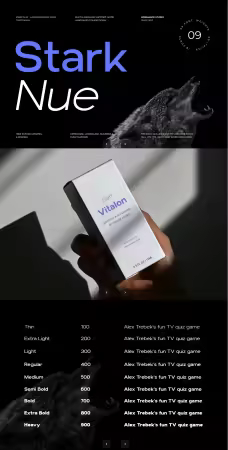 EE - Stark Nue - A Minimal Sans-serif Font Family 9KYFD7A