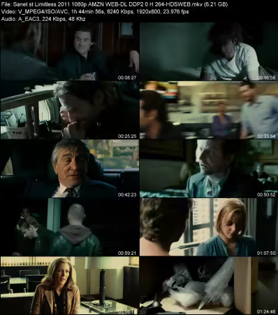 Limitless 2011 1080p AMZN WEB-DL DDP 2.0 H264-HDSWEB