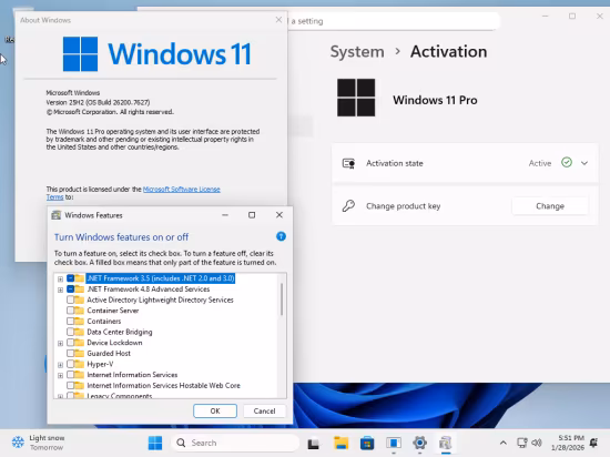 tiny11 Core 25H2 Build 26200.7627 Multilingual Preactivated