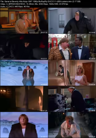 Beverly Hills Ninja 1997 1080p BluRayRip EAC3 5.1 x265-Lootera