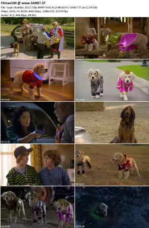 Super Buddies 2013 720p BRRiP XViD AC3-MAJESTiC