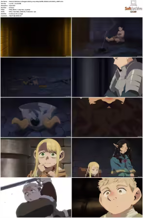 Delicious in Dungeon S01 1080p Netflix WEB-DL x264 DDP 5.1-DBTV