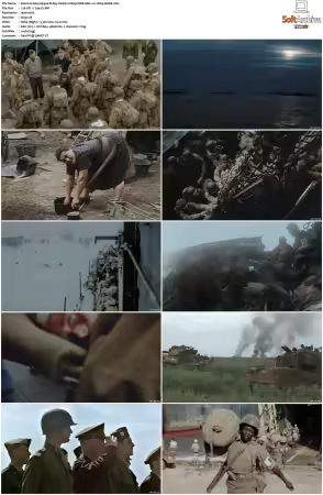 Apocalypse D-Day S01 1080p WEB AAC 2.0 H264-WoKE