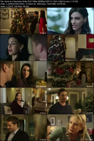 A December Bride 2016 1080p WEBRip DDP 2.0 10bit H265-iVy