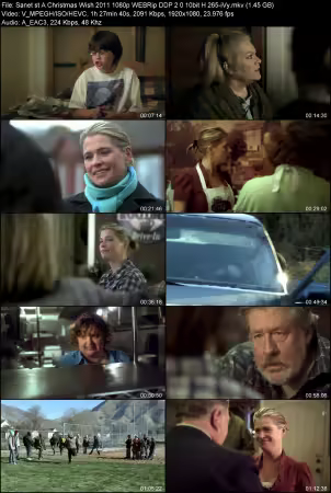 A Christmas Wish 2011 1080p WEBRip DDP 2.0 10bit H265-iVy