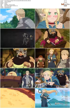 Delicious in Dungeon S01 1080p Netflix WEB-DL x264 DDP 5.1-DBTV