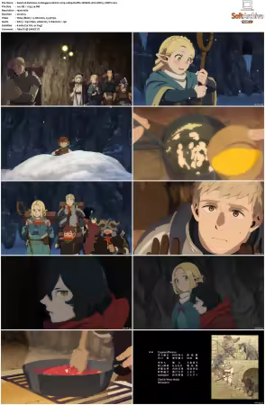 Delicious in Dungeon S01 1080p Netflix WEB-DL x264 DDP 5.1-DBTV