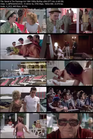 The Flamingo Kid 1984 1080p BluRay x264-OFT