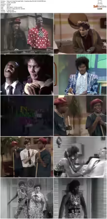 In Living Color 1990 S01-S05 480p H265 AAC 2CH-MNKYDDL
