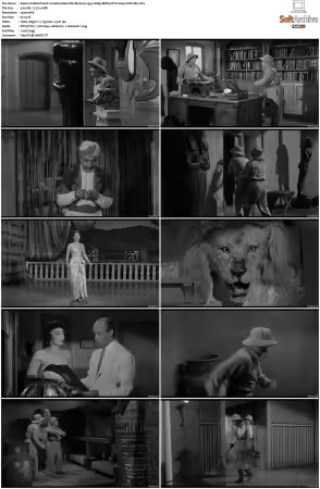 Abbott and Costello Meet the Mummy 1955 1080p BDRip DTS H264-PoPCoRn