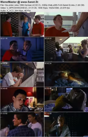 Die erste Liebe 1996 German AC3D DL 1080p Web x265-FuN
