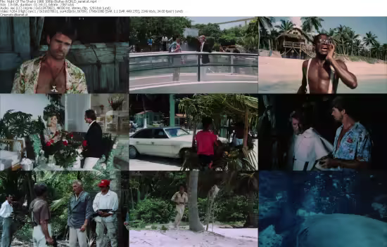 Night Of The Sharks 1988 1080p BluRay-WORLD