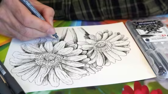 MasterClass Drawing Flowers with a Pen and a bit of Graphite