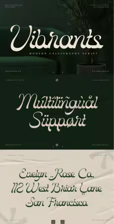 EE - Vibrants — Modern Calligraphy Font S84AK3U