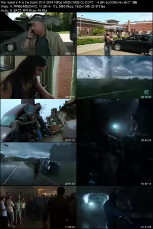 Into the Storm 2014 1080p AMZN WEB-DL DDP 5.1 H264-BLOOM