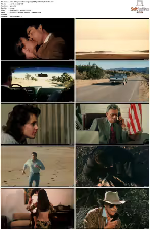 Dangerous Men 2005 1080p BDRip DTS H264-PoPCoRn