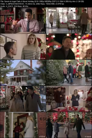 Angel Falls A Novel Holiday 2019 1080p WEBRip DDP 2.0 10bit H265-iVy