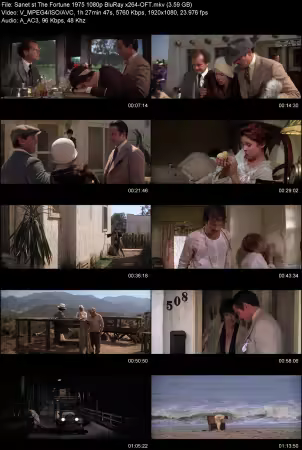 The Fortune 1975 1080p BluRay x264-OFT