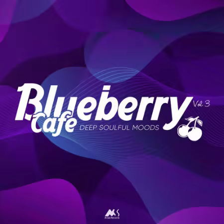 VA - Blueberry Cafe 2025: Deep Soulful Moods (2026)