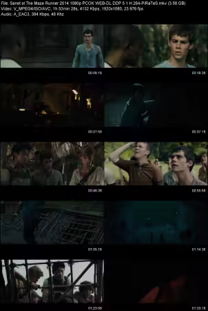 The Maze Runner 2014 1080p PCOK WEB-DL DDP 5.1 H264-PiRaTeS
