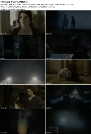 Until Dawn 2025 MULTi TRUEFRENCH HDR 2160p WEB H265-SUPPLY